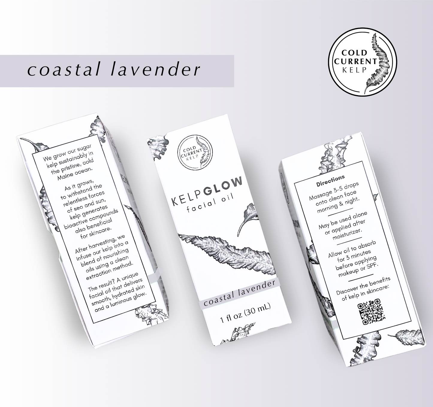 KelpGlow Facial Oil (Coastal Lavender)