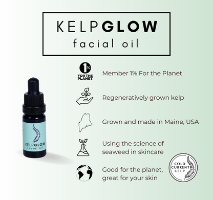 KelpGlow Facial Oil Mini (Fragrance Free)